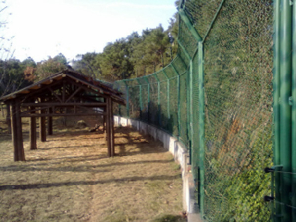 黑龍江動(dòng)物園防護(hù)柵欄圖片2