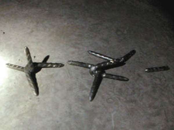 黑龍江鐵蒺藜圖片2